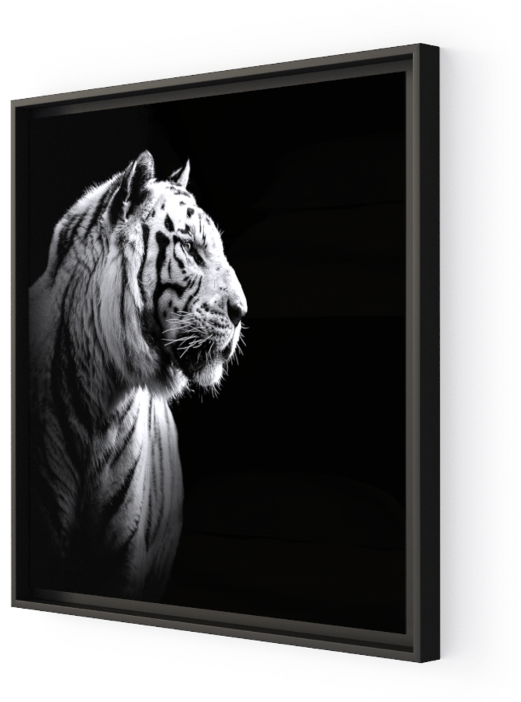 Photo The White Tiger - Portrait Tiger (1000x1000), Png Download