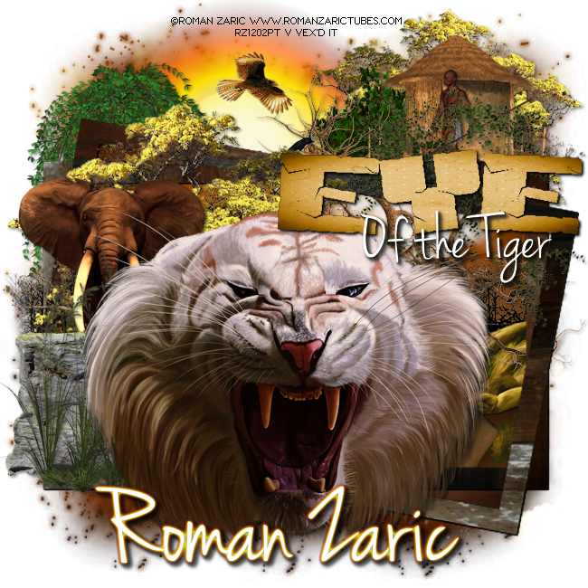 White Tiger Tag & Free Wordart - Poster (650x650), Png Download