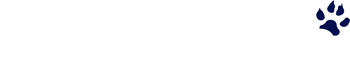 White Tiger Pr - Shirt (1250x333), Png Download