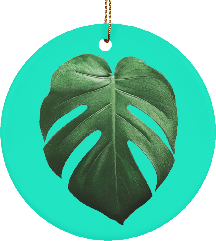 Monstera Deliciosa Ceramic Tropical Leaf Ornament - Swiss Cheese Plant (1024x1024), Png Download
