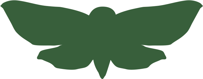 Moth Png (750x750), Png Download