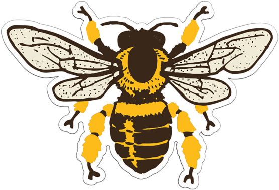 Popular - Bee Clip Art Free Black And White (576x576), Png Download