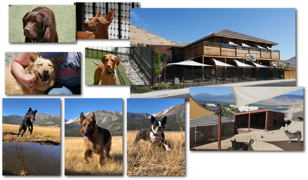 To Sign In - Collage (1016x602), Png Download