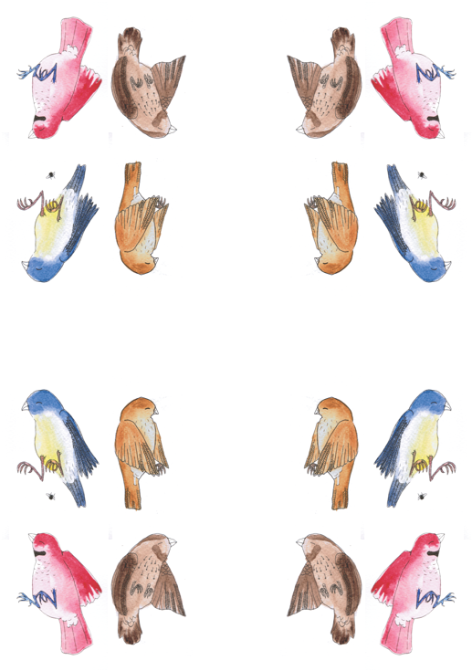 Chicken (618x800), Png Download