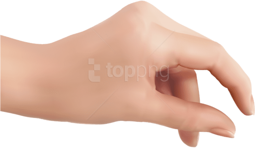 Download Hd Free Png Download Hand Png Clipart Png Photo Png Images Girl Transparent Png Image Nicepng Com