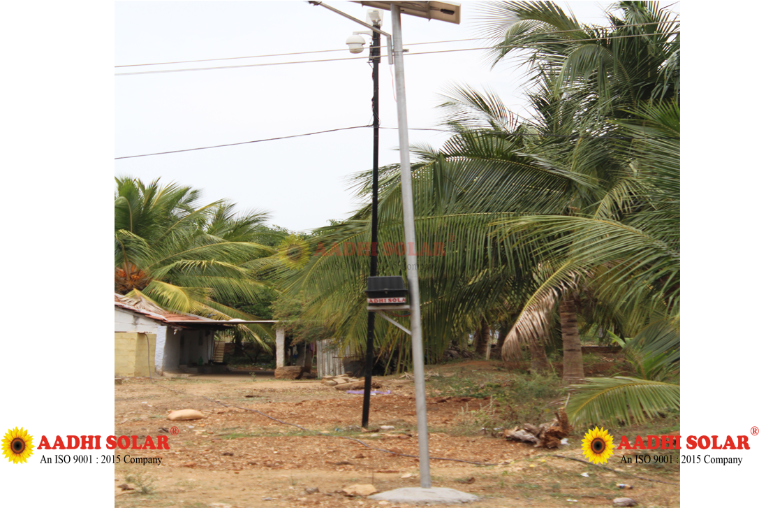 Aadhi Solar Street Light Manufacture In India - Attalea Speciosa (1152x726), Png Download