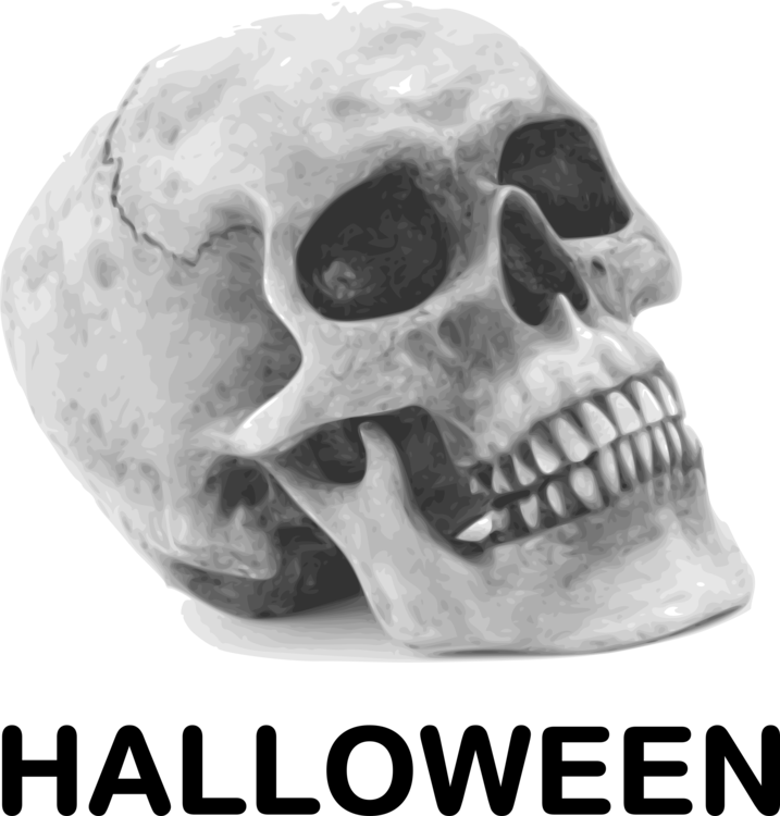 Calavera Human Skull Symbolism Halloween Drawing - Skull Public Domain (717x750), Png Download