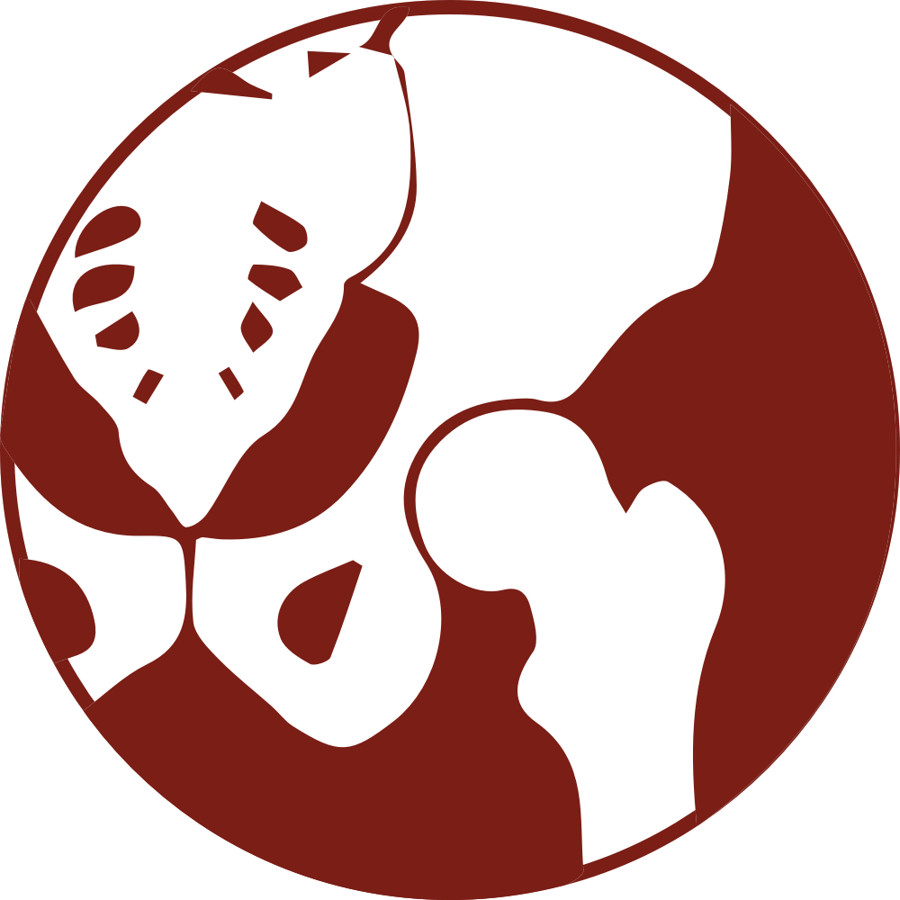 Hip Surgery (1000x1000), Png Download