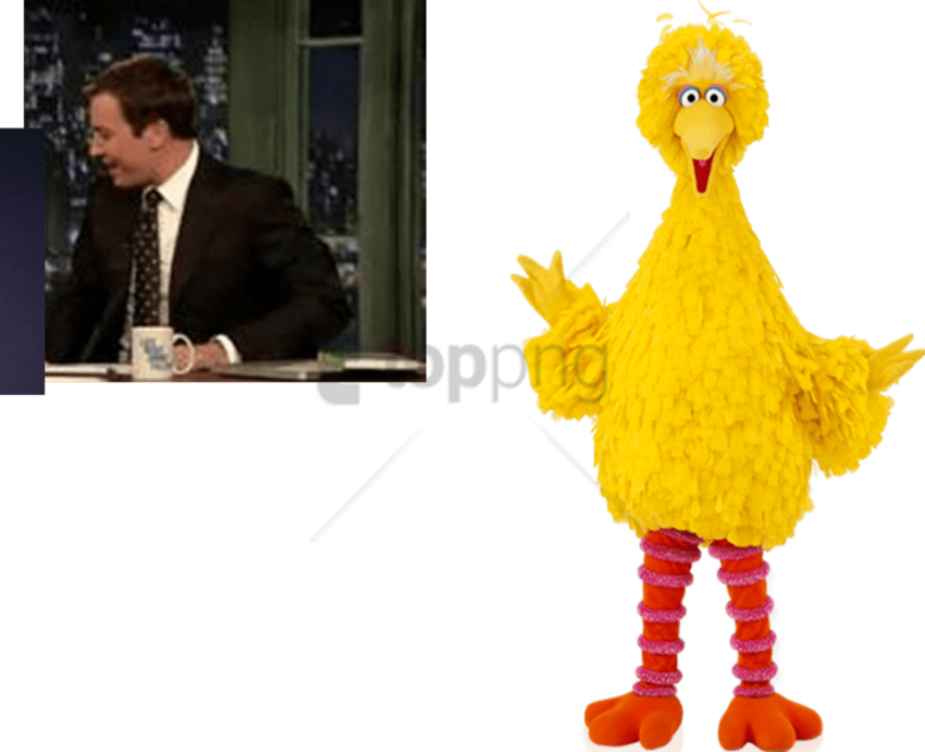 Free Png Download Snuffy Big Bird Elmo Png Images Background - Big Bird And Small Bird (850x691), Png Download