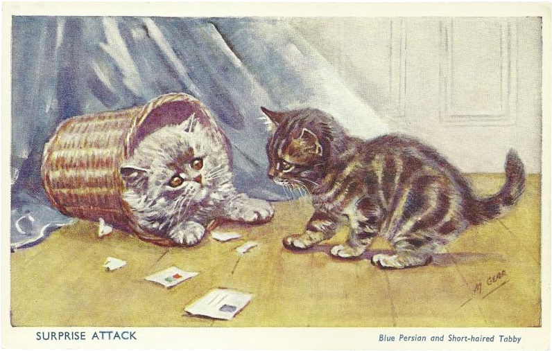 Mabel Gear Vintage Postcard Of Blue Persian And Tabby - Tabby Cat (795x795), Png Download
