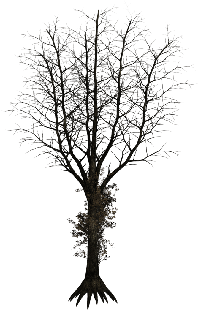 Dark Tree Png - Black Long Tree Png (741x1078), Png Download