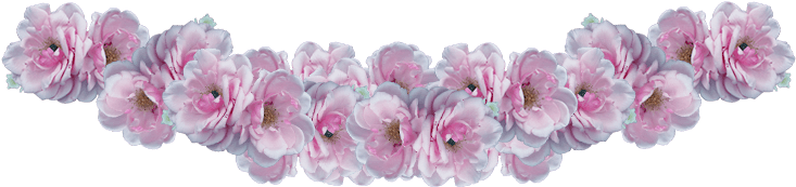 Transparent Flower Crown 141286 - Template Flower Crown (1084x650), Png Download