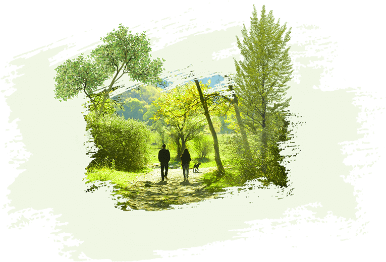 Central-park - Painting (800x555), Png Download