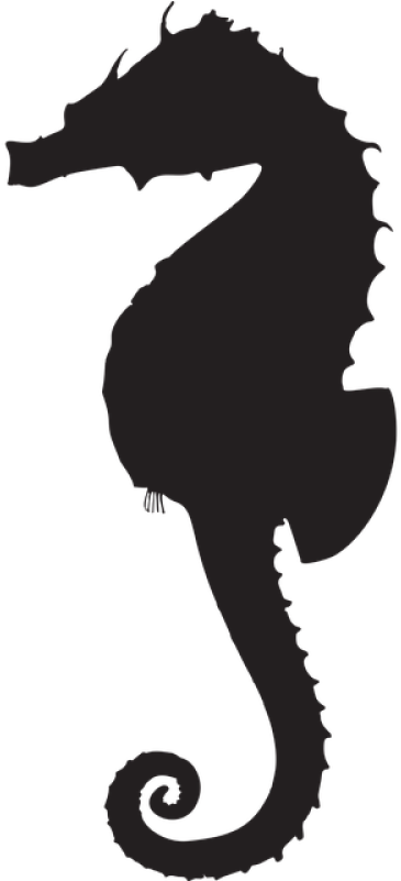 Seahorse Png, Download Png Image With Transparent Background, - Silhouette Animal Seahorse (400x800), Png Download