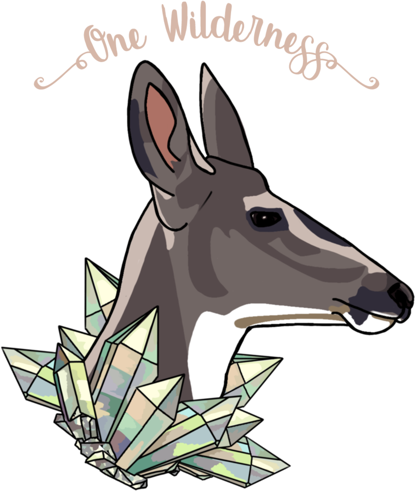 Deer - Kangaroo (1000x1053), Png Download