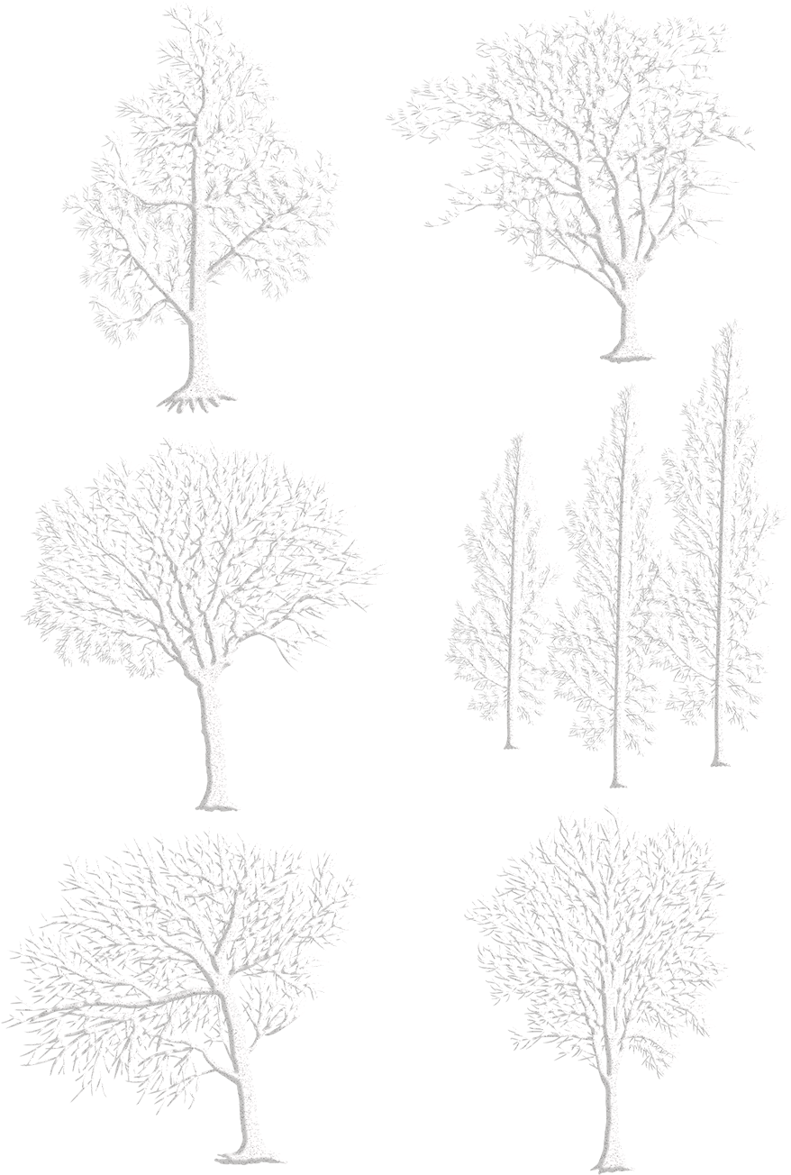 Original Hand Drawn Wind White Winter Png And Psd - ต้นไม้ แห้ง Png (1024x1369), Png Download