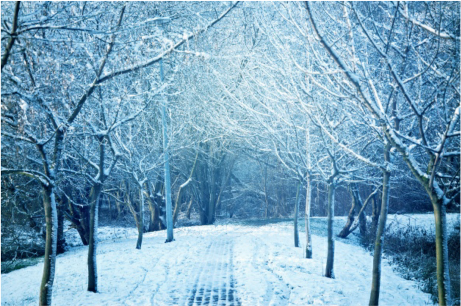 #winter #road #trees #wintertrees #background (1024x735), Png Download