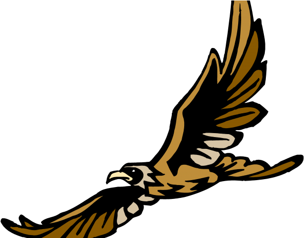 Golden Eagle Clipart Peregrine - Oakhaven High School Tn (640x480), Png Download