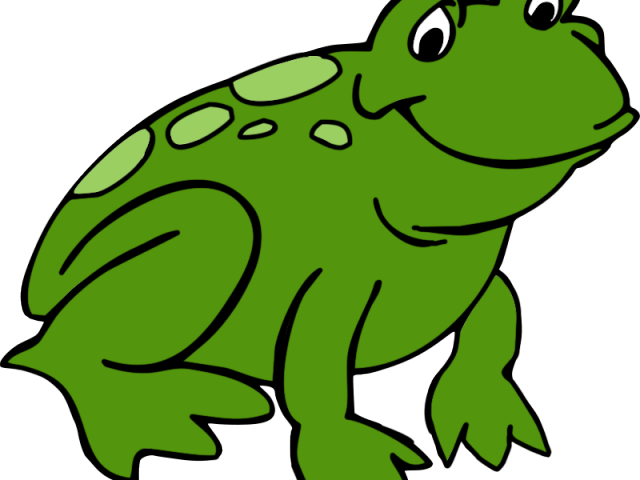 Transparent Frog Clipart (640x480), Png Download