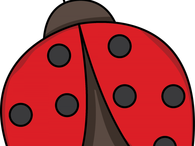 Cute Clipart Ladybug (640x480), Png Download