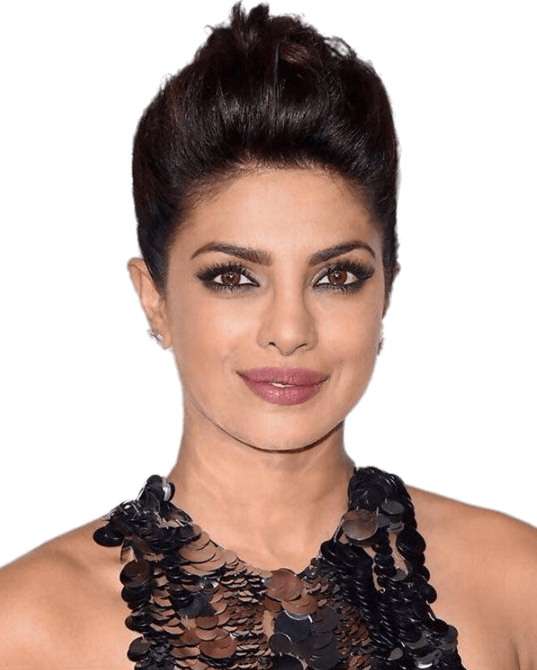 Download - Priyanka Chopra Hair Updo (596x743), Png Download