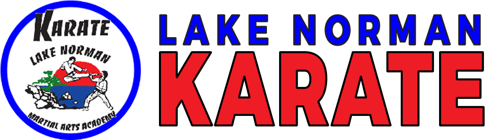 Lake Norman Martial Arts Academy - Circle (1000x310), Png Download