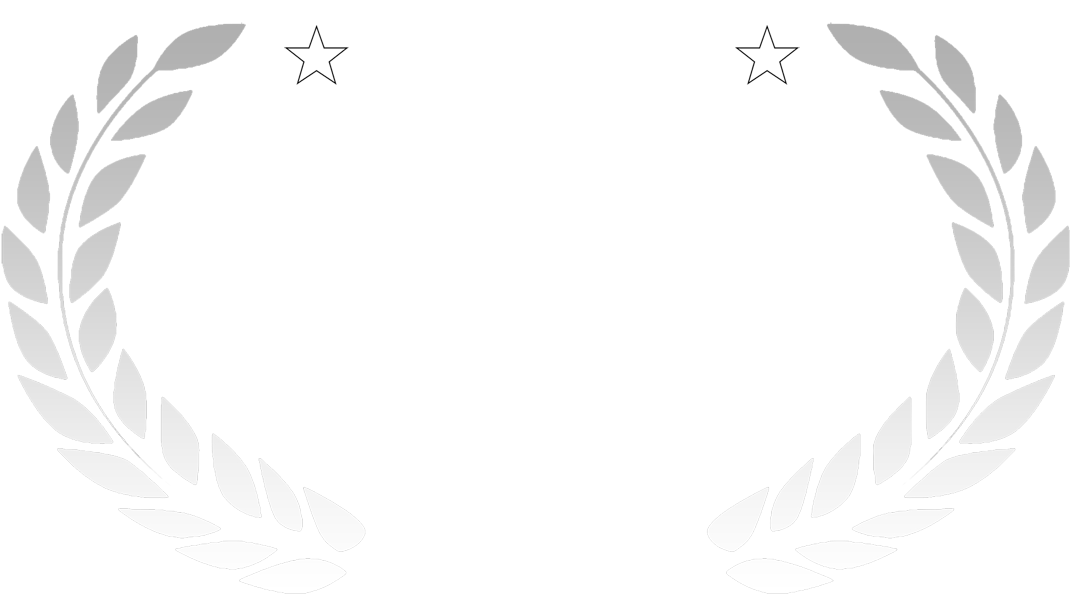 Info - Worldfest-houston International Film Festival (1200x664), Png Download