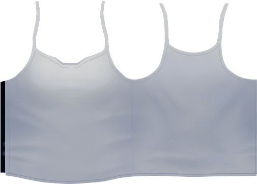 Brassiere (1024x2048), Png Download