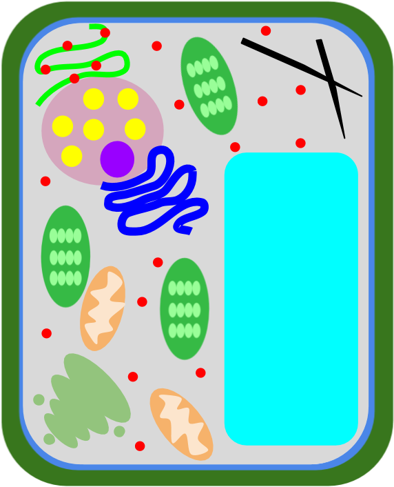 Location (994x763), Png Download