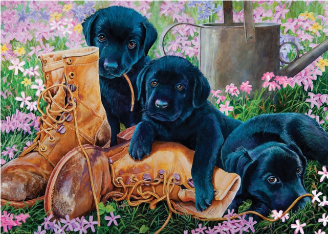 Black Lab Puppies - Jigsaw Puzzles (640x640), Png Download