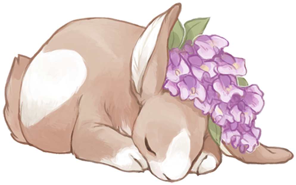 #tumblr #art #rabbit #rabbits #flower #flowers #bunny - Hydrangea (1024x646), Png Download