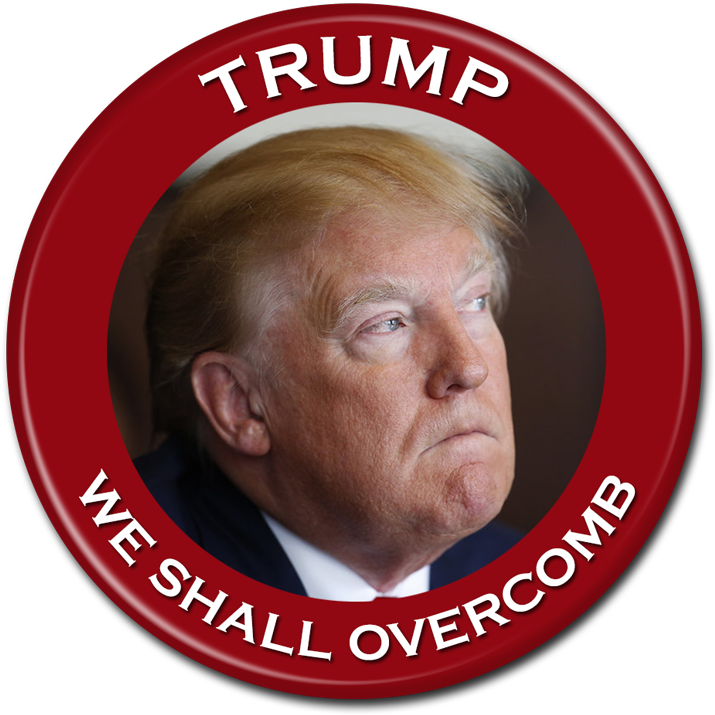 Anti Trump Button - Circle (800x800), Png Download