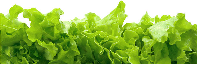 Catering Aprisa Mexican Cuisine - Vegetarian (660x242), Png Download