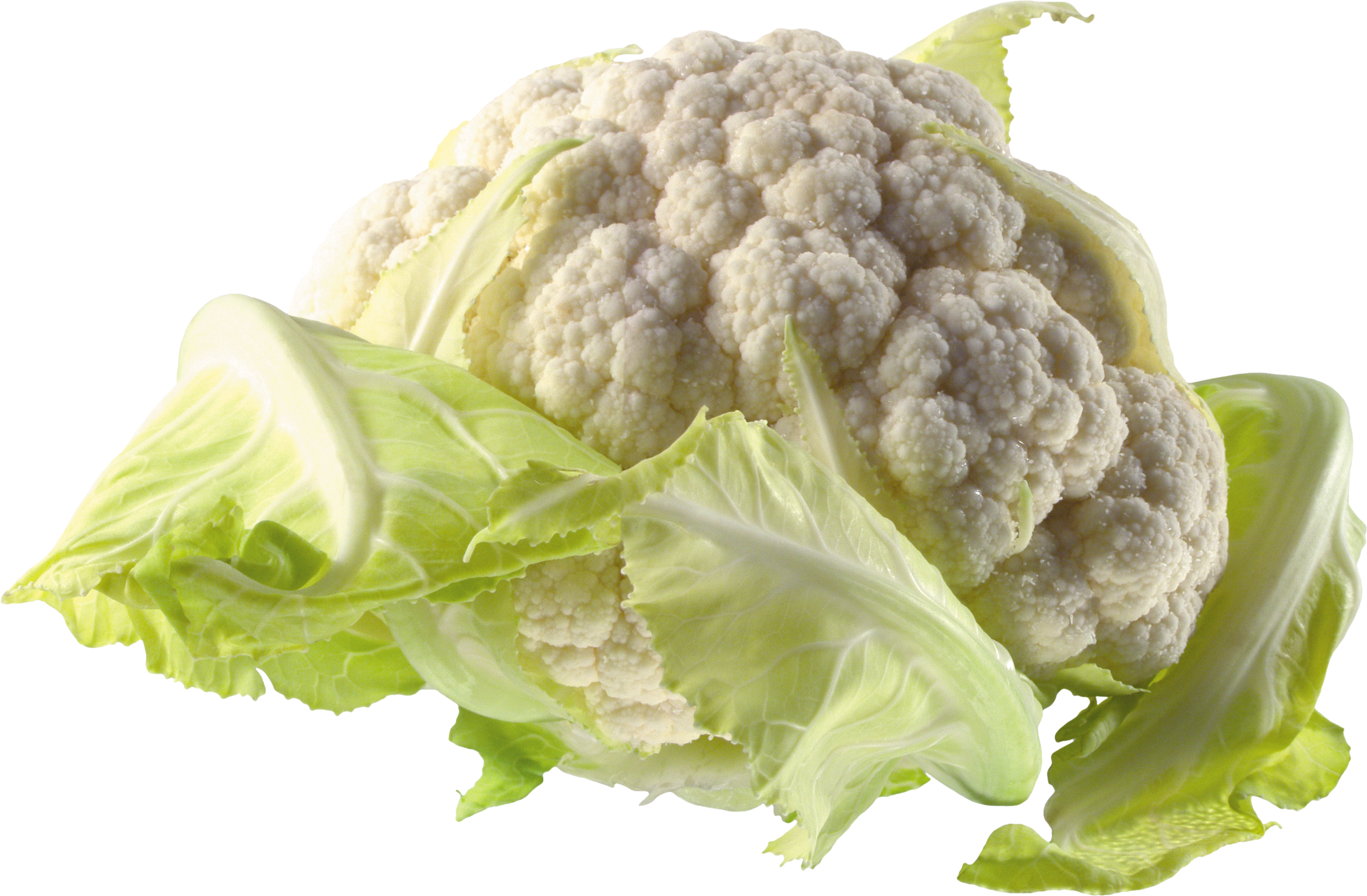 Lettuce Clipart Cauliflower - Flower Cabbage Png (3500x2295), Png Download