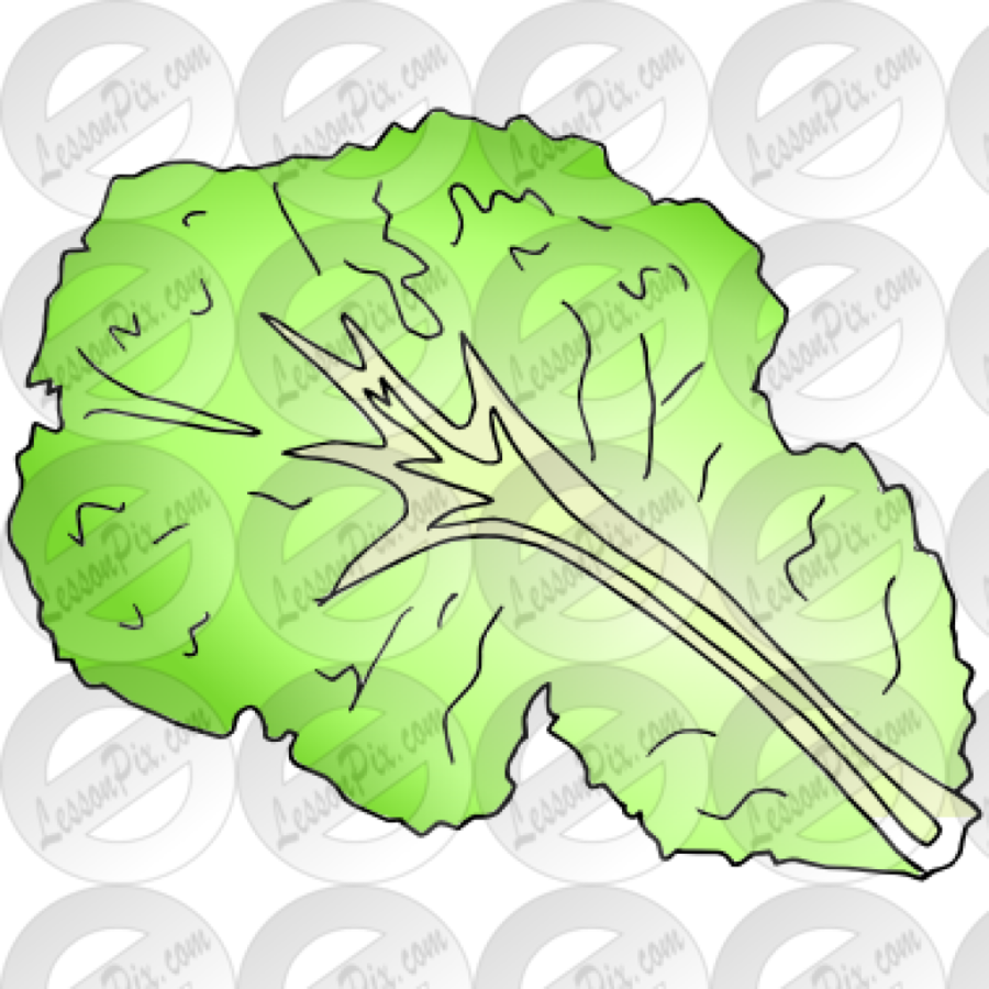 Download Lettuce Leaf Black And White Clipart Lettuce - Lettuce Slice Clipart Black And White (900x900), Png Download