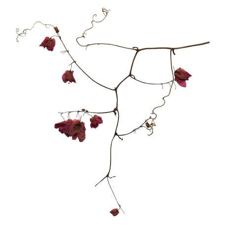 Gothic Clipart Transparent - Пнг Готика (460x464), Png Download