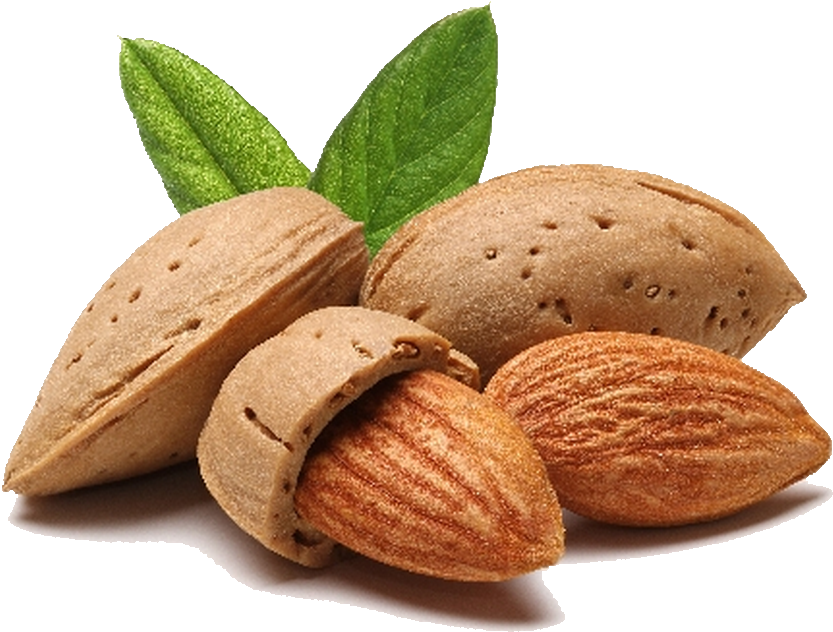 Almond Png File - Prunus Amygdalus Dulcis Oil (1152x770), Png Download