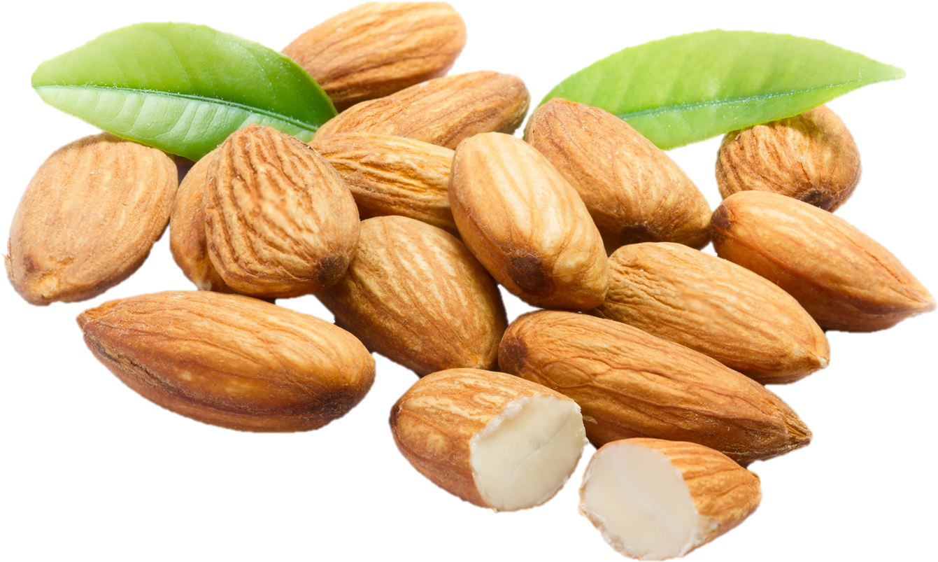 Almonds Png (1500x999), Png Download