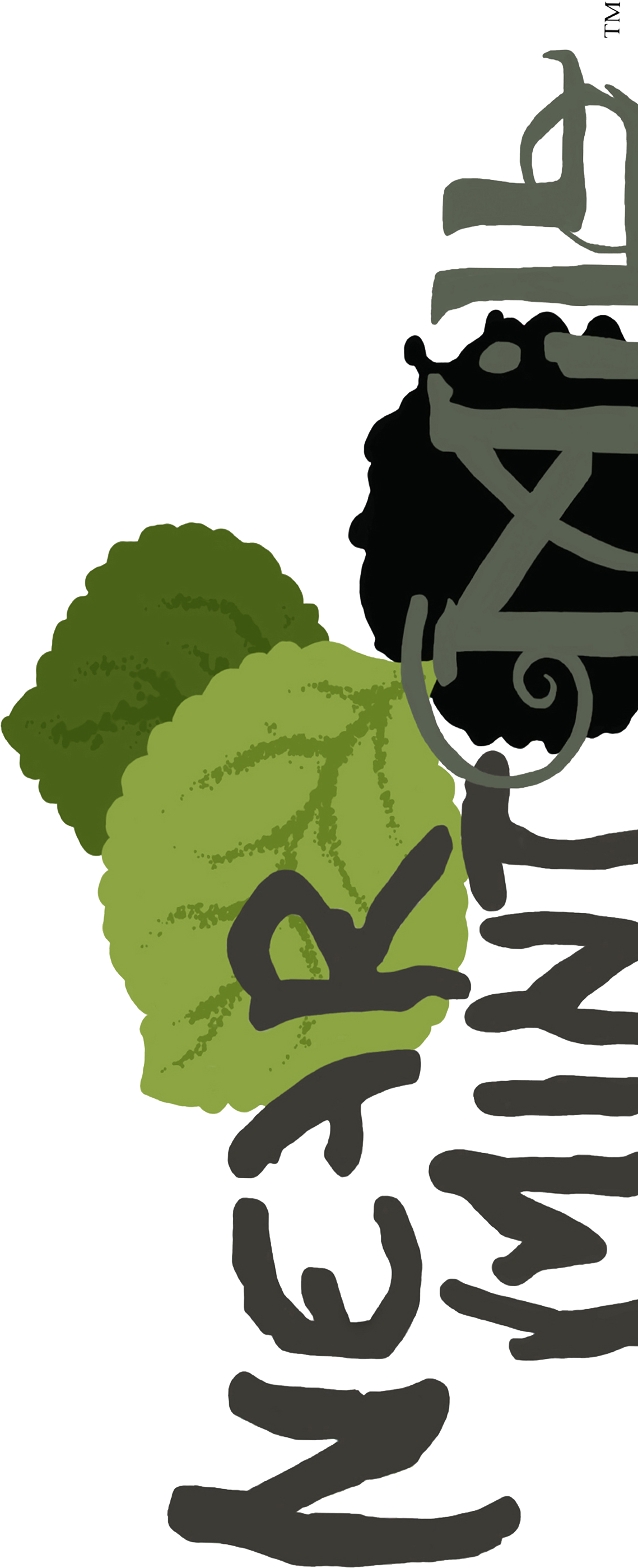 About Near Mint Mill Picture Black And White - Illustration (1144x2812), Png Download