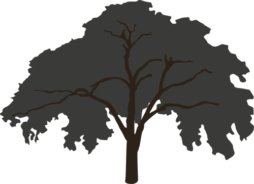 Tree,silhouette,big,tree Silhouette,clip Art,nature,dark, - Tree (500x364), Png Download