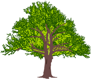 T-shirt Designer Color Flower Branch - Clip Art (481x340), Png Download