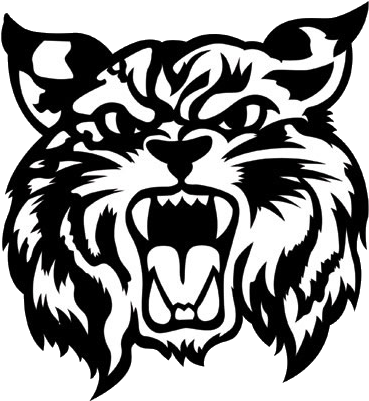 Bobcats Drawing At Getdrawings - Wildcat Clipart (400x400), Png Download