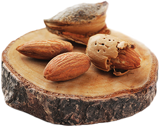 Almonds - Product (400x400), Png Download