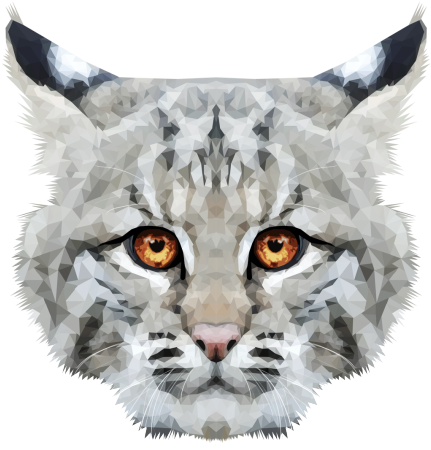 Emmasimoncic - Tumblr - Com - Low Poly Bobcat Illustration - Bobcat (500x449), Png Download