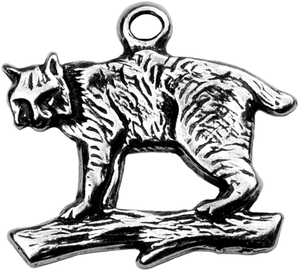 Bobcat - Illustration (643x643), Png Download
