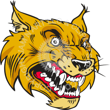Bobcat Clipart Vicious (361x359), Png Download