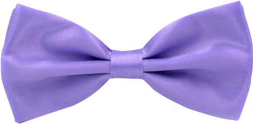 Pinion Purple Bow - Men Classic Wedding Bowtie Necktie Bow Tie Novelty (640x640), Png Download