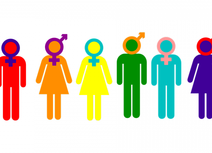 Gender Week Vub - Homosexuality No More A Crime (720x520), Png Download