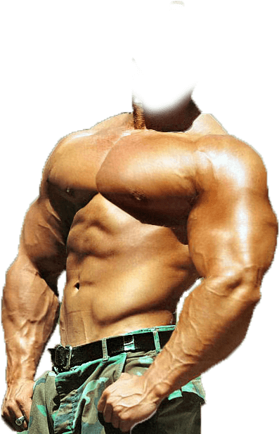 Bodybuilder - Transparent Png Images Men Download (458x641), Png Download