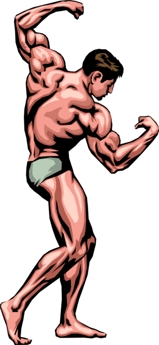 Clipart Stock Bodybuilder Poses Image Illustration - Muscle Man Clip Art (323x700), Png Download